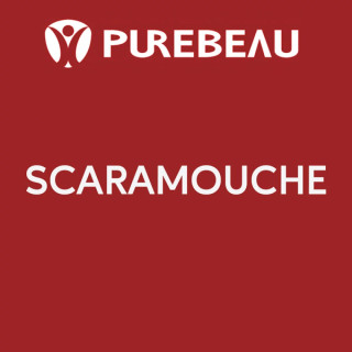 Pigment pour Maquillage Permanent stérile Scaramouche | Purebeau