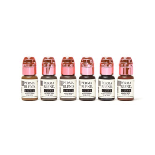 Pigment pour Maquillage Permanent PERMA BLEND Set READY SET GO 6x14ml