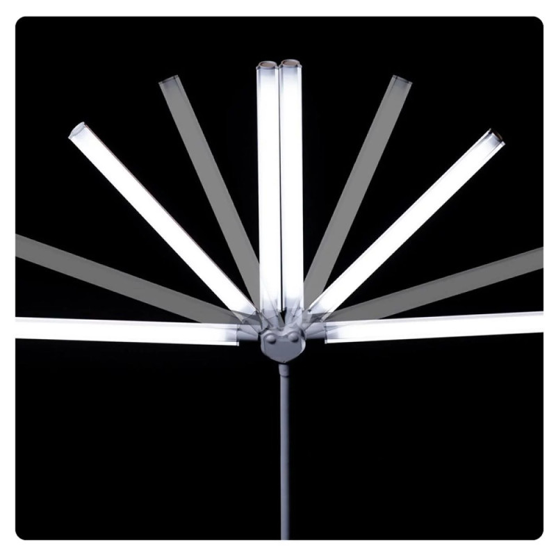 Lampe LED Duo Pro Clamp | DAYLIGHT