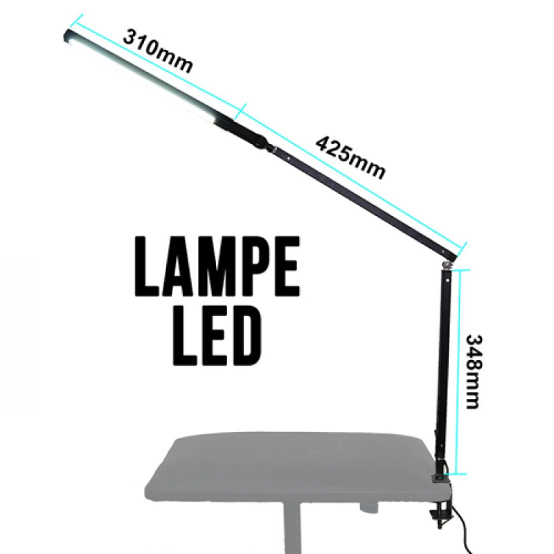Lampe LED portable pour tatouer en aluminium