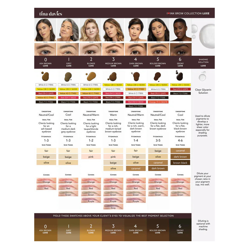 Pigment Sourcils Maquillage Permanent PERMA BLEND Set I love Ink Tina DAVIES 8x14ml