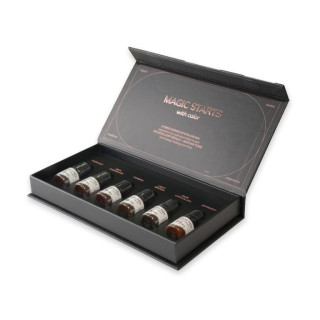 Set 6 Pigments Sourcils ETALON MIX stérile 5ml Hybrid Brow Series