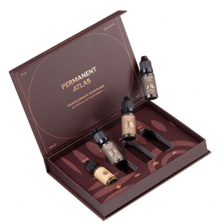 Set 4 Pigments Sourcils ETALON MIX stérile 10ml Anna Kutsevolova