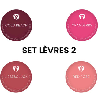 Pigments pour Maquillage Permanent PUREBEAU stériles 10ml - Set Lèvres 2 - 4 Pcs