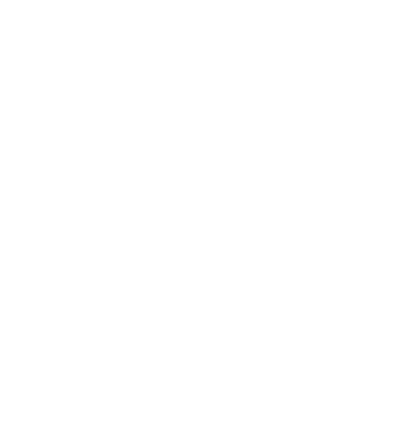 Fiches de sécurité Anios