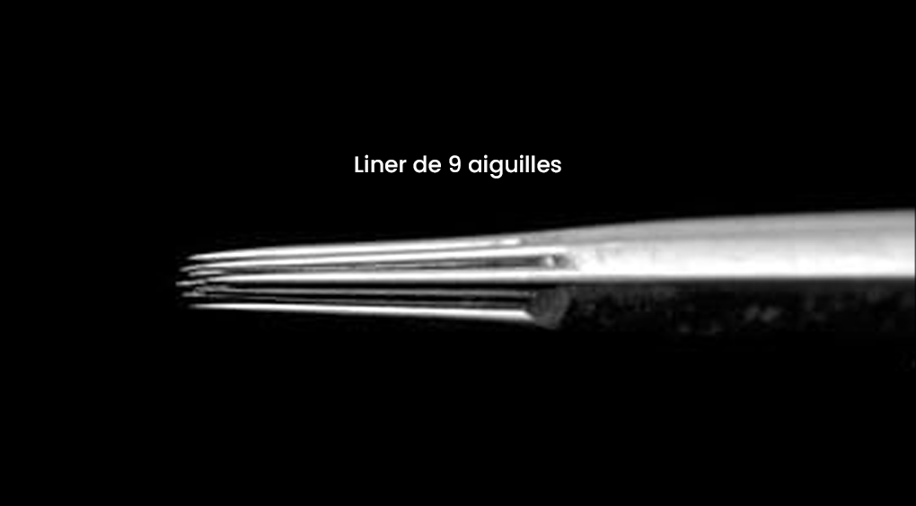 Aiguilles Liner